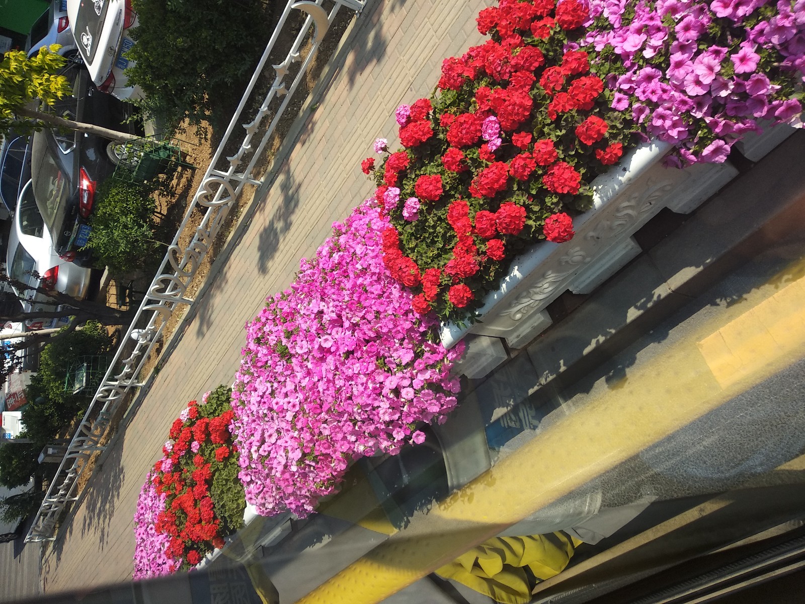 ĪǧԼ ǧ Ͻ 172638sy1v374c69h69499