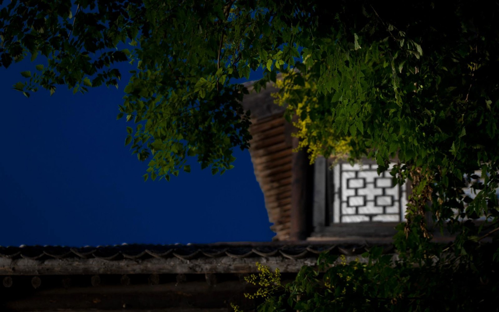 ˼  Ͻ 172954bc8rccvwyrttst36