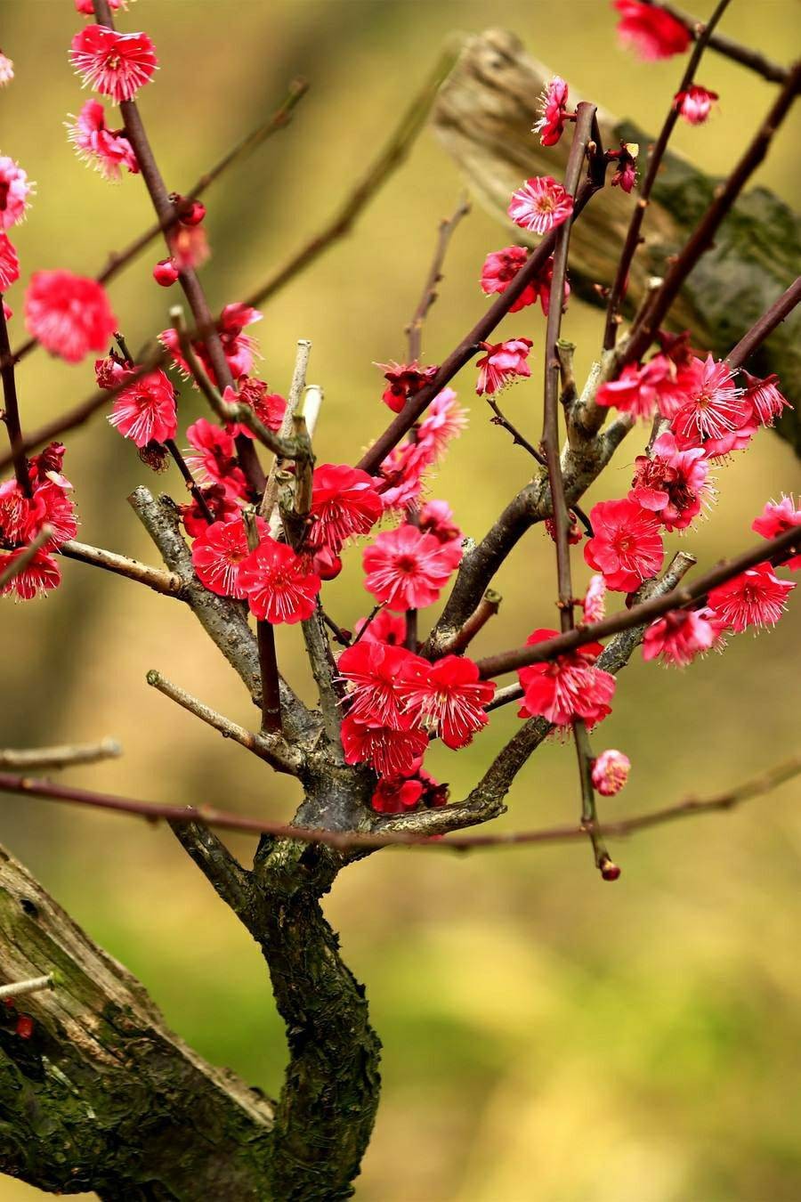 ŷ  ɽ   ŷ Ͻ 174151jm8rv0urjbf80l88