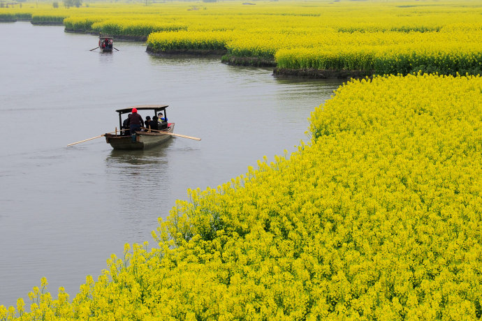 £Զֵ ֵ ɢ 144615lpsszds4shxiussb