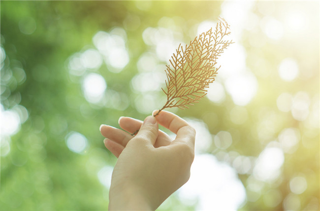   ִʫ 154712u5w1kkku02ll1vlf