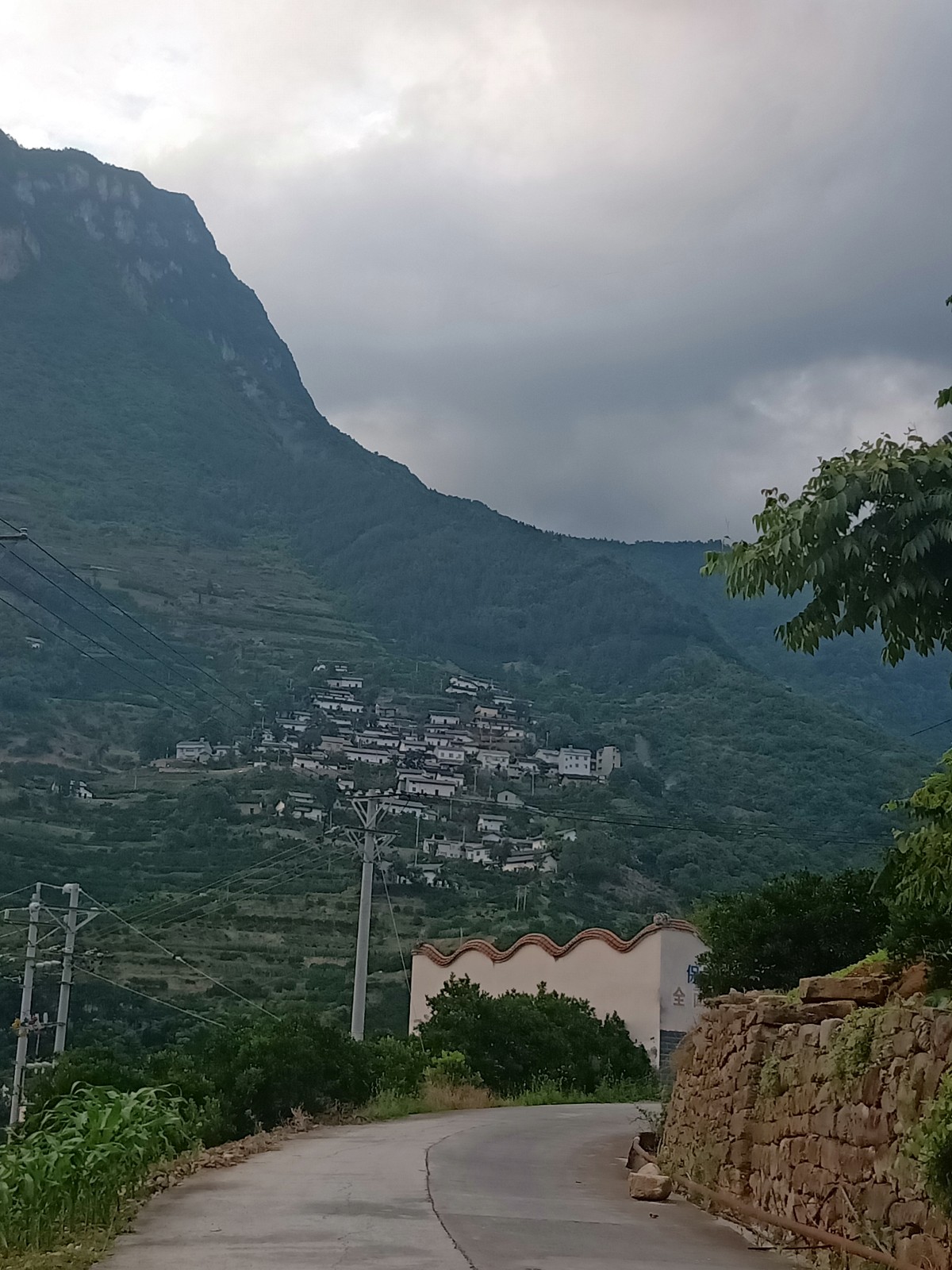 Ҹ   214320eocf5fvsz004pz1y