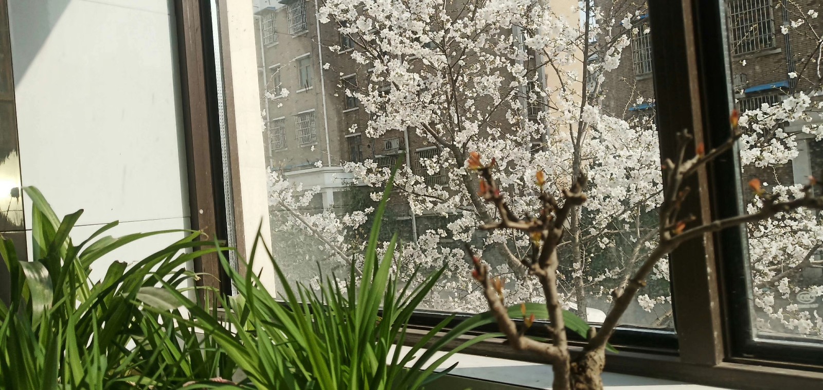 ʱķ϶дʫ ʱķ϶,϶,дʫ ִʫ 101814bpypgfbf4cgyl9ty