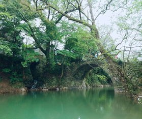 ŷ  ԰ϦͼỨʡ ŷ,Ϧ, Ͻ 140602b0bfy5by0h53yyvh