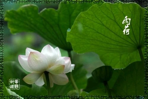 ĪǧԼ3 ǧ Ͻ 135644ca41jqa1ubane6je