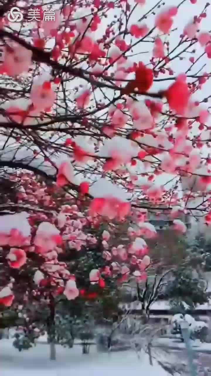   б紵 ,б Ͻ 090740m458wlha5cethtw2