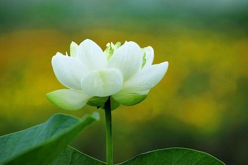 ĪǧԼ6 ǧ Ͻ 132220btz25tg5rrpsgfgi