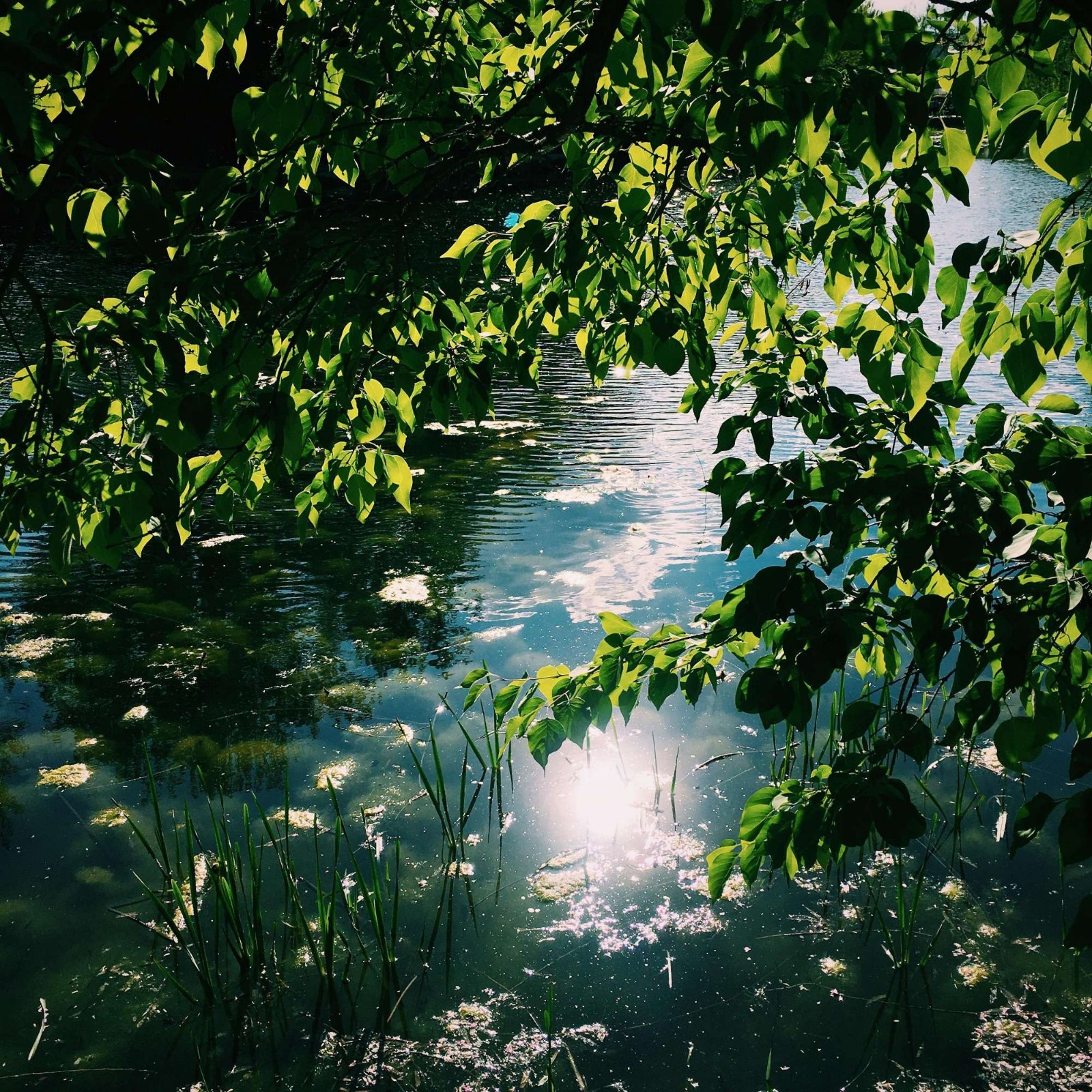 ĪǧԼ8 ǧ Ͻ 101908xf8u3mhz9u5fyeie