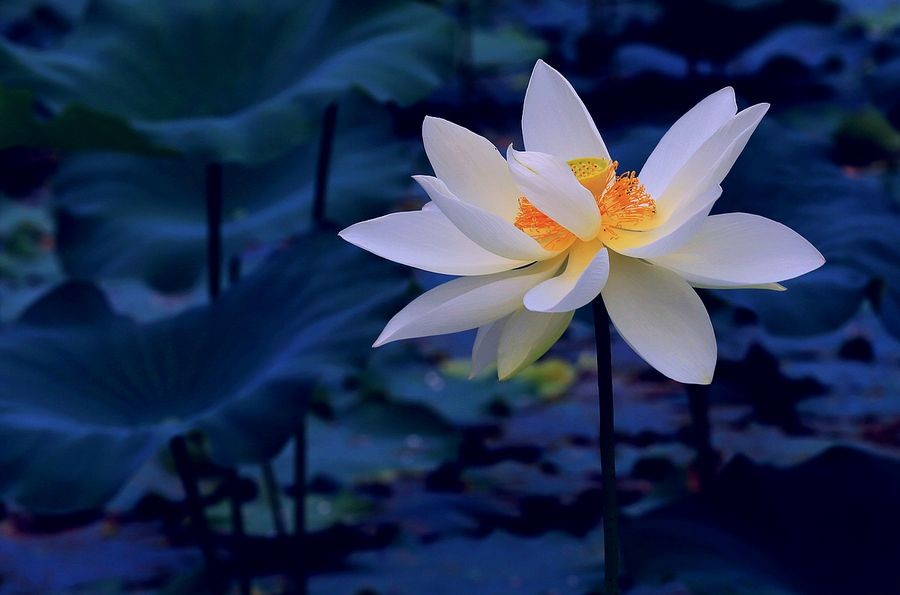 ĪǧԼ3 ǧ Ͻ 104642puu0sl3f3cbf3yez