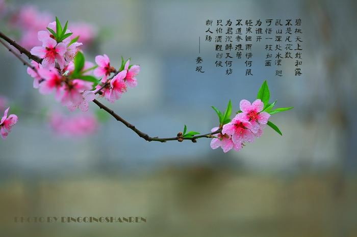   һ ,һ Ͻ 190459jq7750uigcq5s7xm