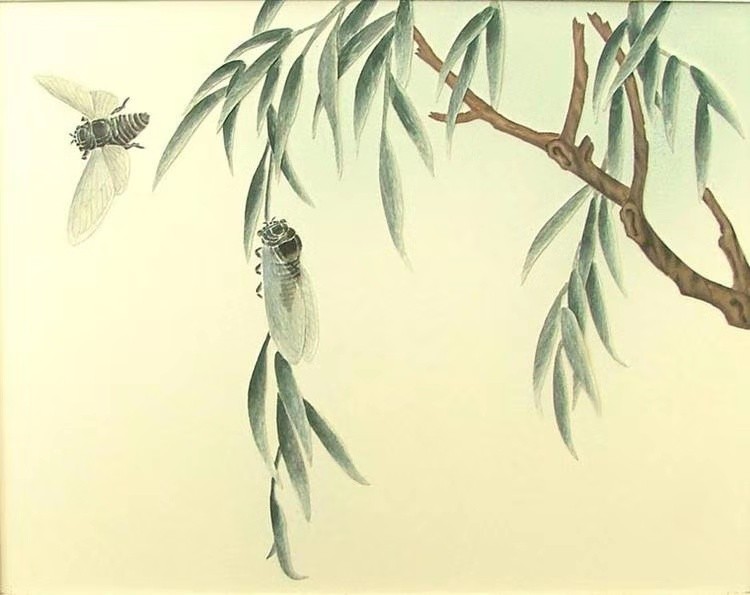 mmexport1564831405874.jpg mmexport1564831405874.jpg