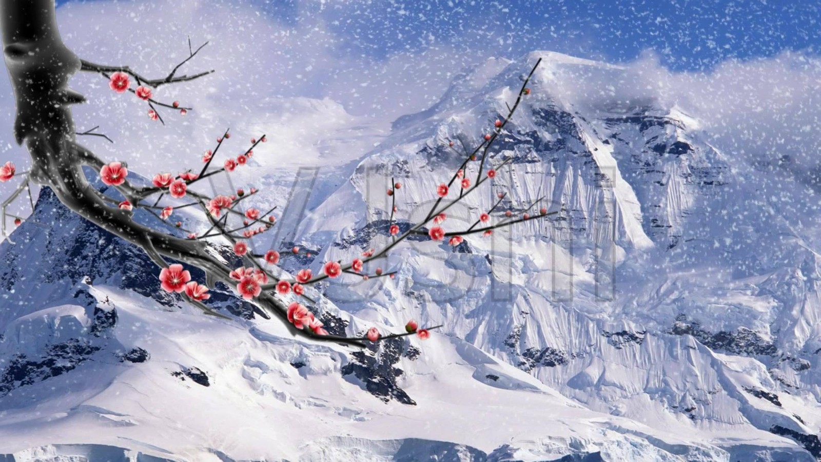 ĪǧԼ8 ǧ Ͻ 102654h1sff3tfy2891zic