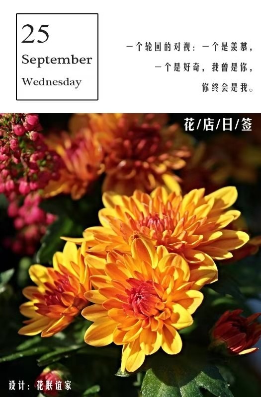 һ  ɢ 110123wil8qxucb4qbc6i2