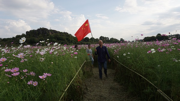 ˹ʯ֣ڻ뻨֮䣨2019ʫ ˹ʯ,ʯ,֮,,ʫ ִʫ 155035kpmrv5z4xdm4i5iw