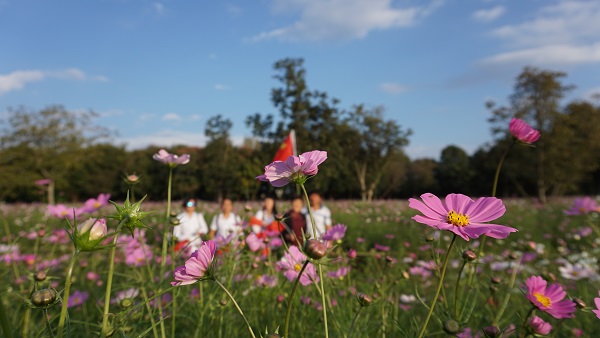 ˹ʯ֣ڻ뻨֮䣨2019ʫ ˹ʯ,ʯ,֮,,ʫ ִʫ 155037xuzzcxxcx9ruunx9