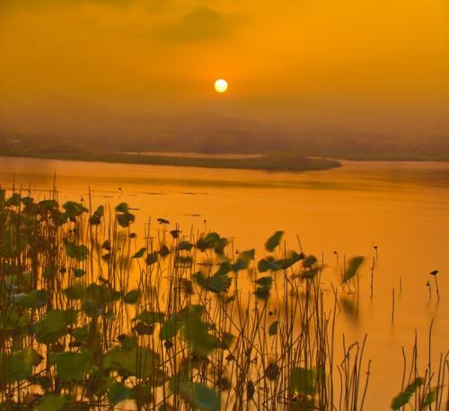 Ϫɳ  ʮϦղ Ϫɳ,Ϧ Ͻ 221355jcjlc70ccq7qvcno