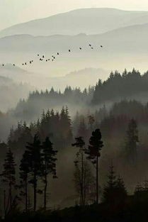 Сɽ  ɽպ Сɽ,,ɽ, Ͻ 221551fd9z8vzltj1mdvmd