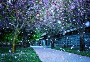    , Ͻ 212027u73k9w5u9350f5oq