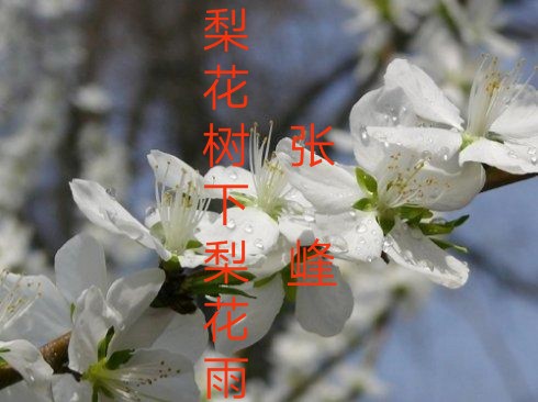 滨滨  ɢ 080221o0tt385n048rdrp2