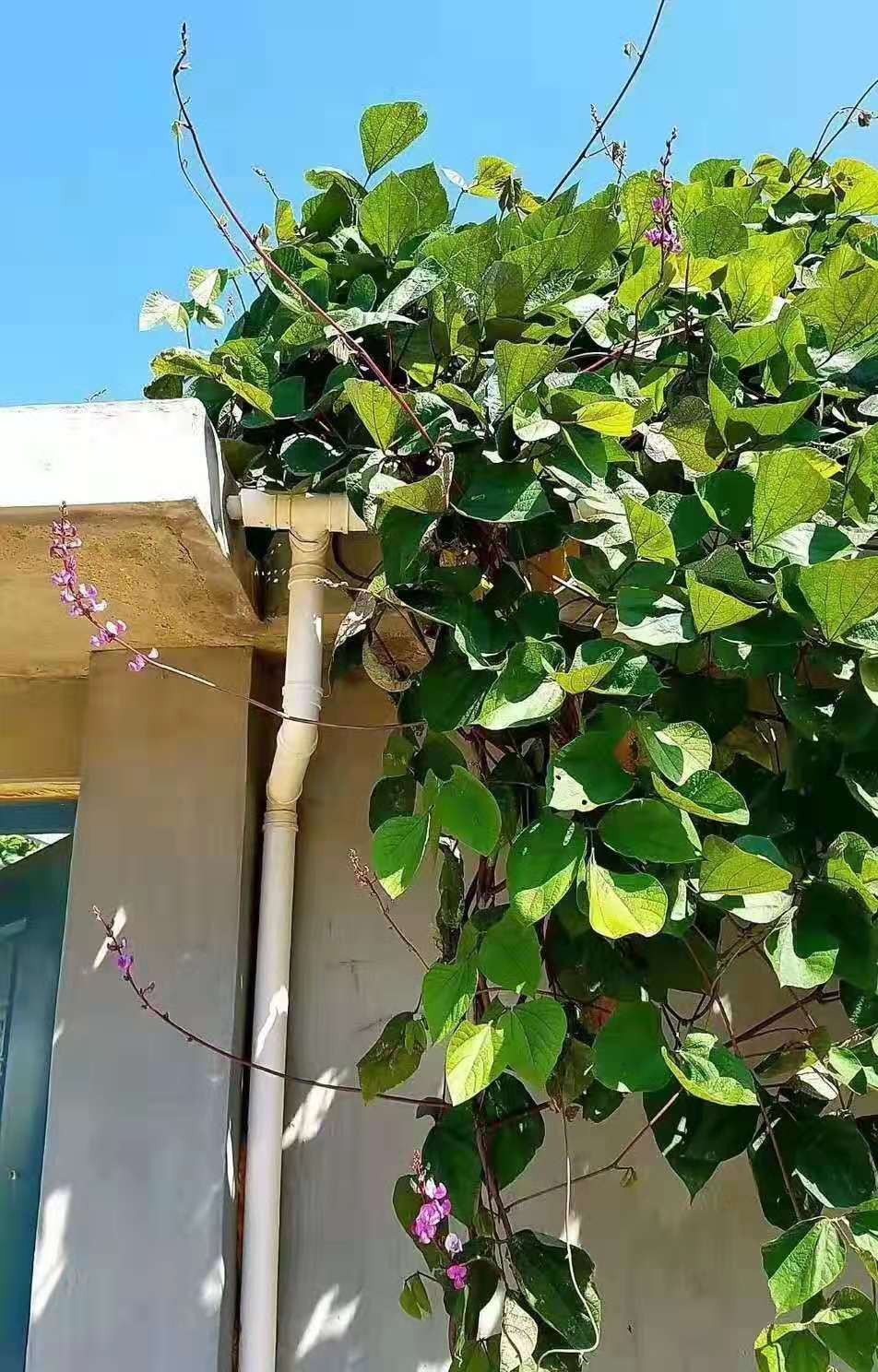 ⶹ  ɢ 072413m8hef43azam8d98y