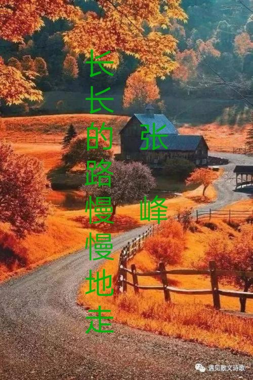 · , ɢ 125652gmbe9kg9rvgopge1