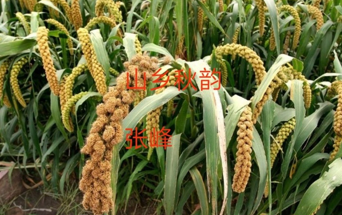 ɽ  ɢ 230636liqy4tuuxbipq8uy