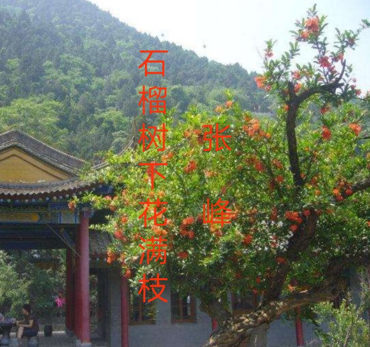 ʯ»֦  ɢ 203318mxi6wikyexcwbebx