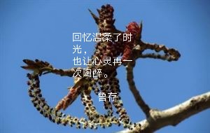   ɢ 205326zeuz82pl3gghl9hx