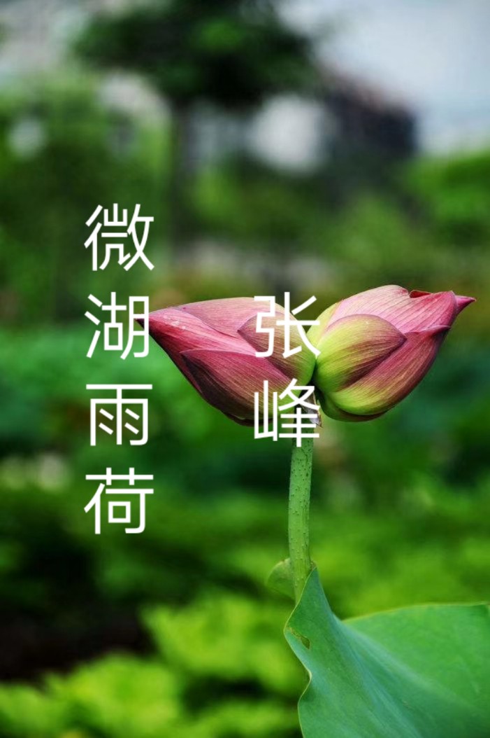 ΢ ΢, ɢ 134609valiwdwdlpdidlpi