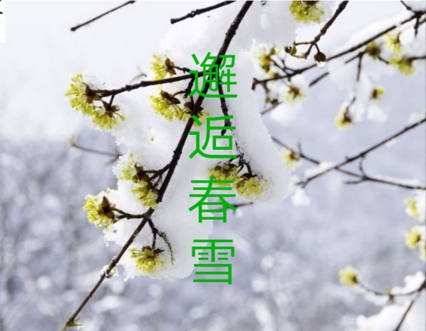 ˴ѩ ,ѩ ɢ 171059nlb1ilp9jbnn5n4j