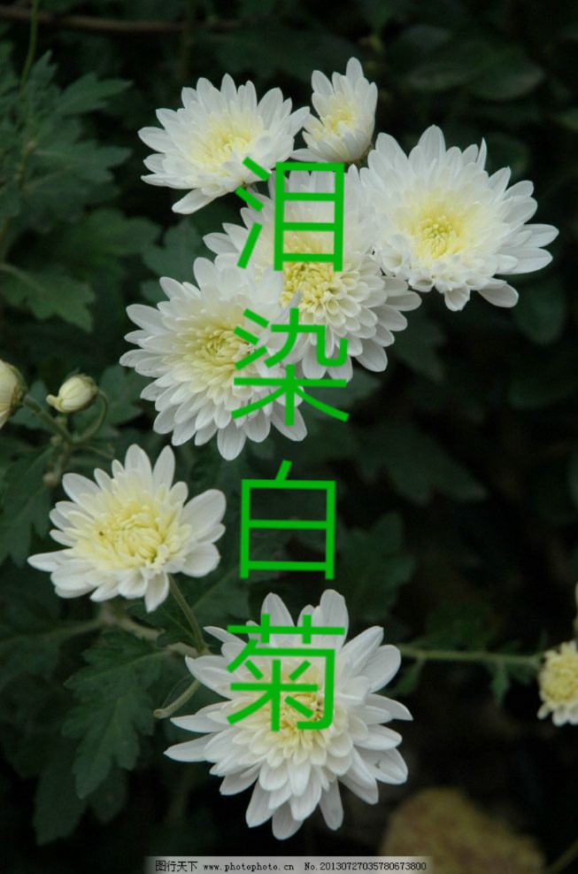 Ⱦ׾ ׾ ɢ 105340u5wv7jgb1bwo7x51