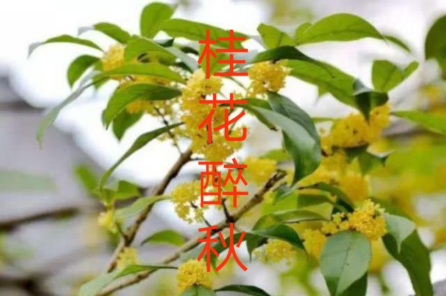   ɢ 230137xlbe60blol5bfp0h