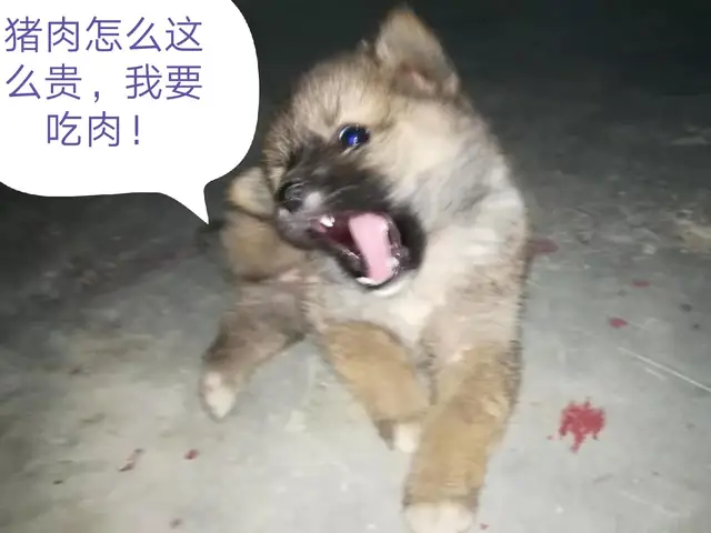 ۺܹ  ִʫ 165756bw93m1dd0wdhyv10