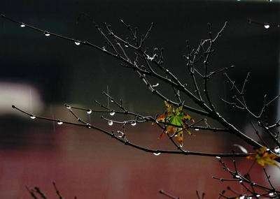   Ц쳾    Ͻ 223314y8qd1b85qcqqn5z6