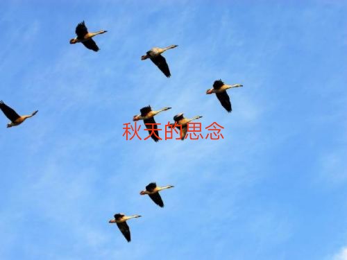 ˼ ,˼ ɢ 080753i9d9qiqpqipi3izu