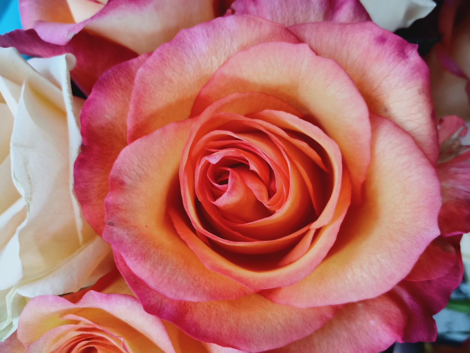 мһ겻õ м,,õ ƪС˵ 141631ziii0vkl39n3594q