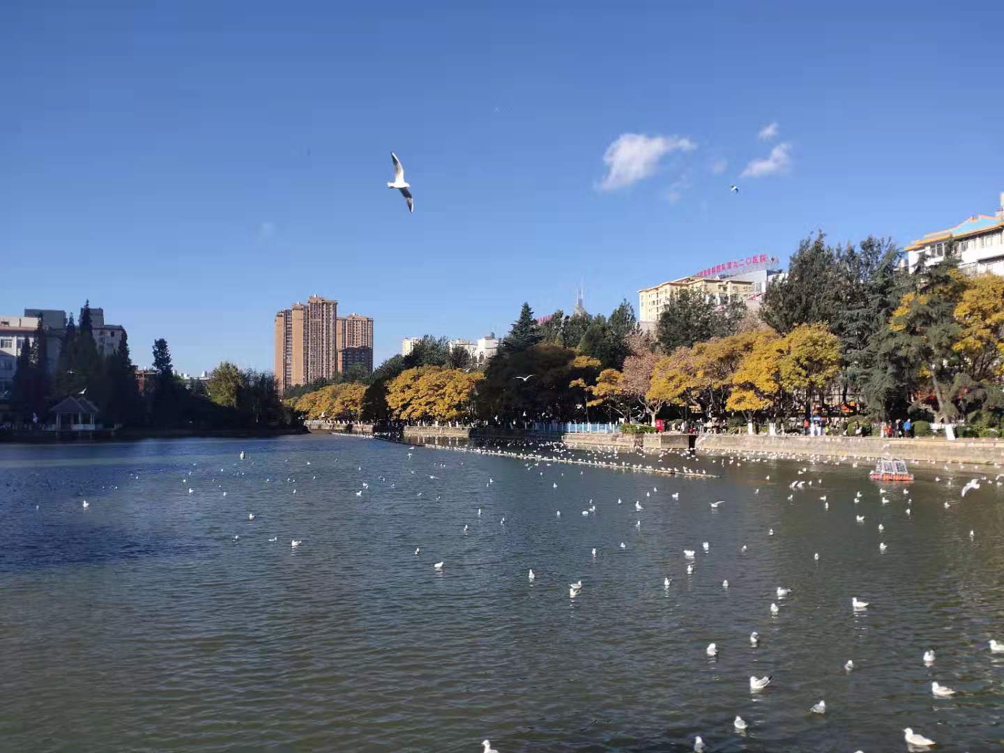 ϯҵ綬 ,ϯ,ҵ ִʫ 133954aqci95bxaqnqeeq3