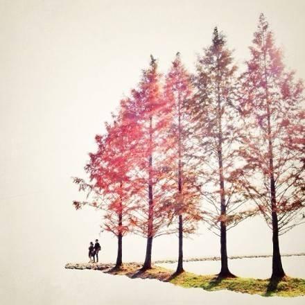 ϣְů  ɢ 204933x3q3aq4a4q21i4ql