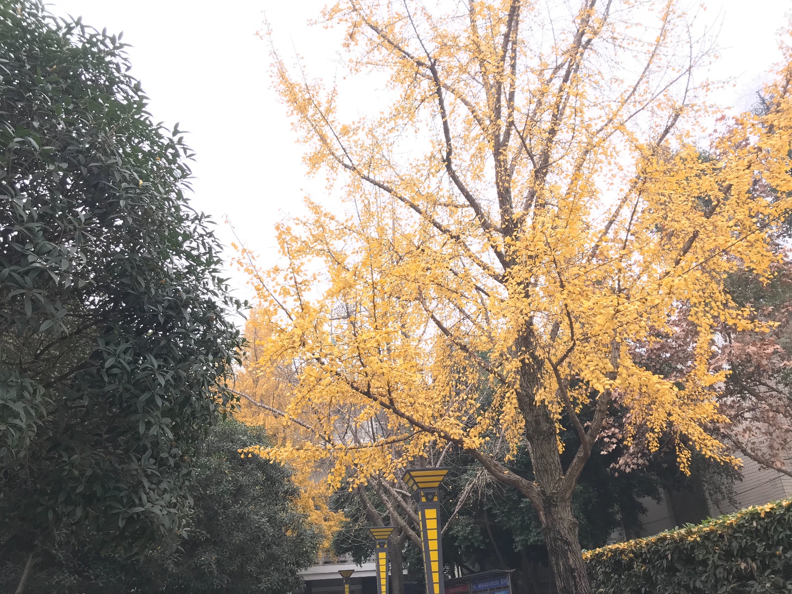 ʽʫءһף ʫ,ء,һ ִʫ 