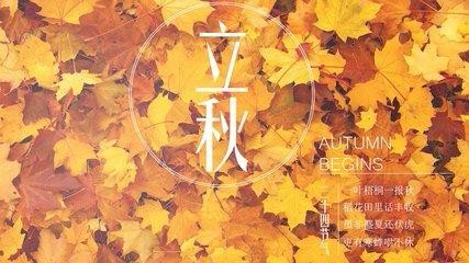 ʮĴ        Ĵ, ɢ 173517sl41yn1l4i9v4h14