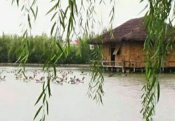   ɢ 101735fs9m0taatoai7a0t