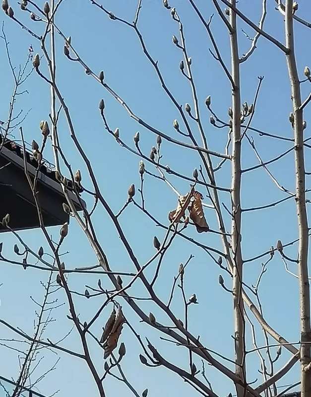 ԽʷȥѰ Խ,ʷ ɢ 224359kwwnllnwezena0ly