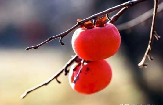 ¥ϷƷһ ¥ ɢ 225054oga5llg3zkbkgdxg