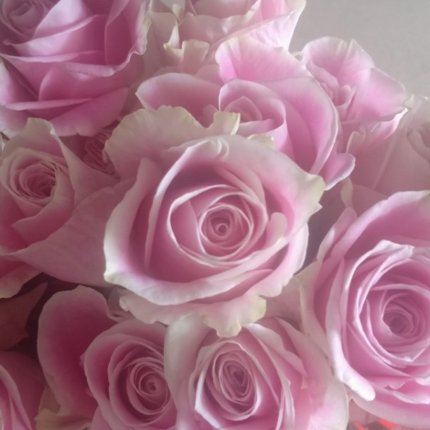 Ŀ࣬ʹ· ,, ɢ 224532n7hwbb7m3bwkmb0b