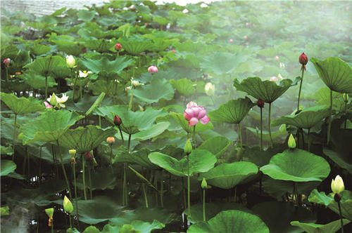 ͺɣܰ ͺ,,ܰ ɢ 222227jsszigd7xk76xdgo