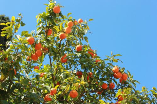 ˣʫ ,,,ʫ ִʫ 153245e2gughf2b1gtgh9y