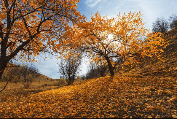 ˣʫ ,,,ʫ ִʫ 153245nx9240a8mmh8wxy4