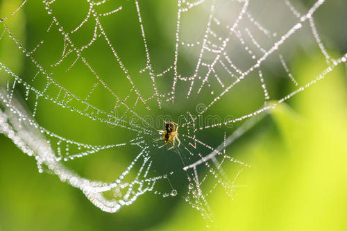 ˣʫ ,,,ʫ ִʫ 153246lli2mjyh2mol4ylo