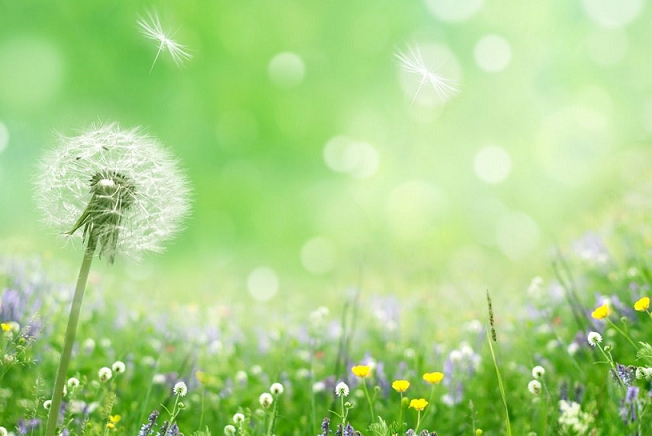 ˣʫ ,,,ʫ ִʫ 153247cz8bcw68gmik8i8k