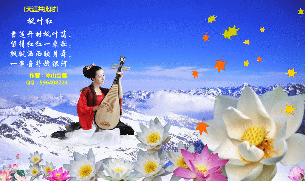 ǧ ѩ֣ ǧ,,ѩ, ɢ 002733lqer3z1x6qt1zk1r